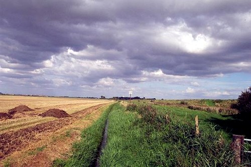 The fen today at Thurlby, near Bourne