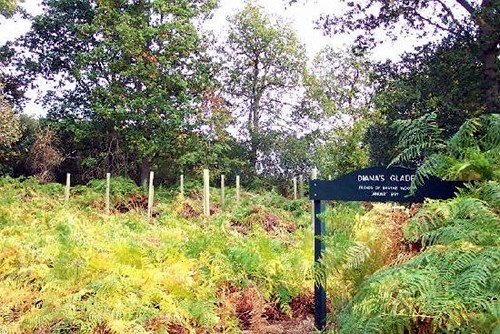 Diana's Glade