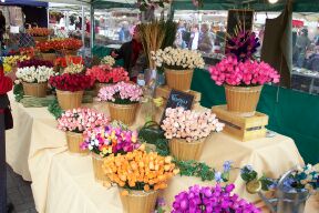 Silk flowers