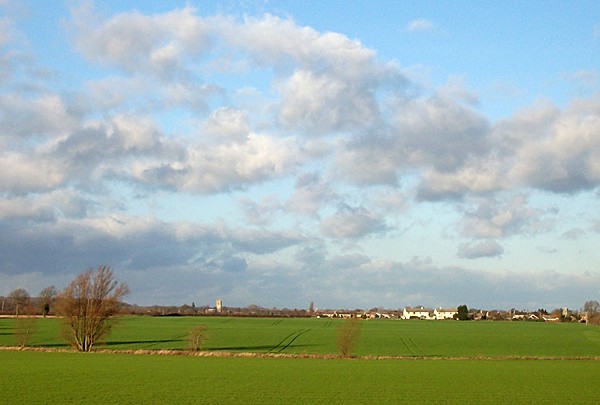 The fen near Bourne