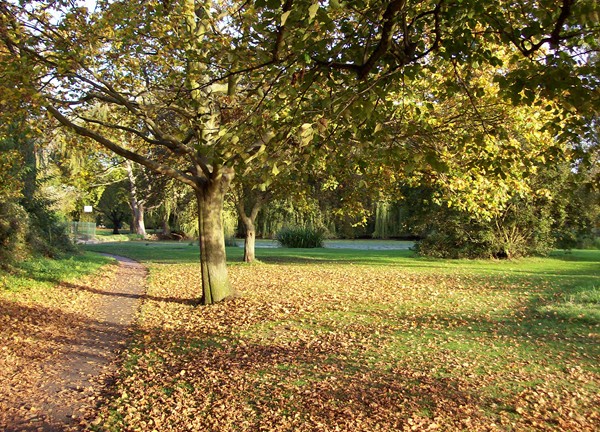 Autumn at the Wellhead