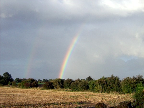 Rainbow over the fen