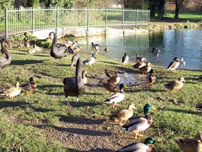 Photographed in December 2007