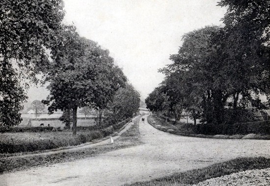 West Road circa 1920