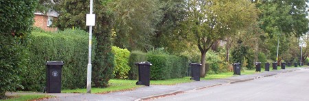 Wheelie bins awaiting collection