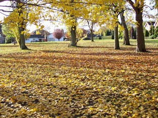 Off Woodland Avenue