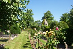Commemorative rose trees