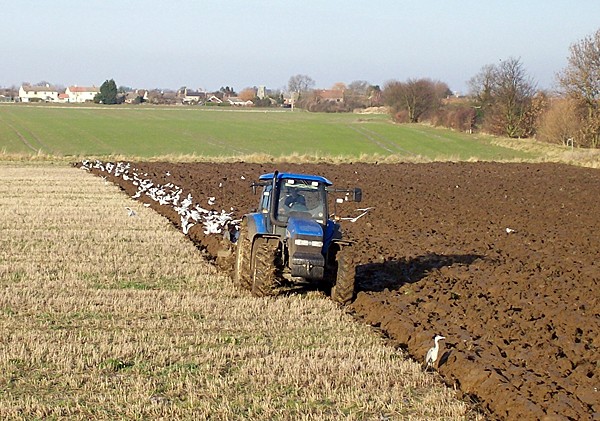 Winter ploughing