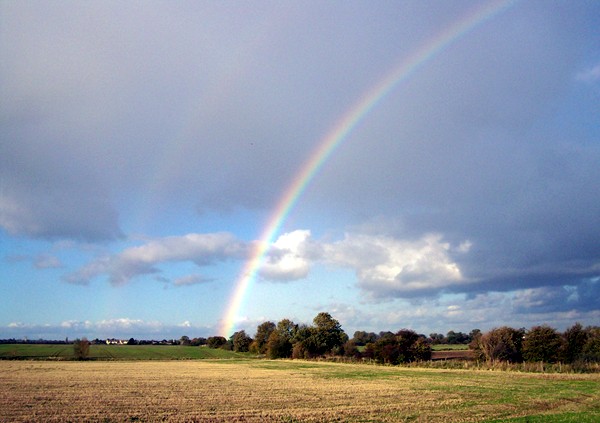 Rainbow over the fen