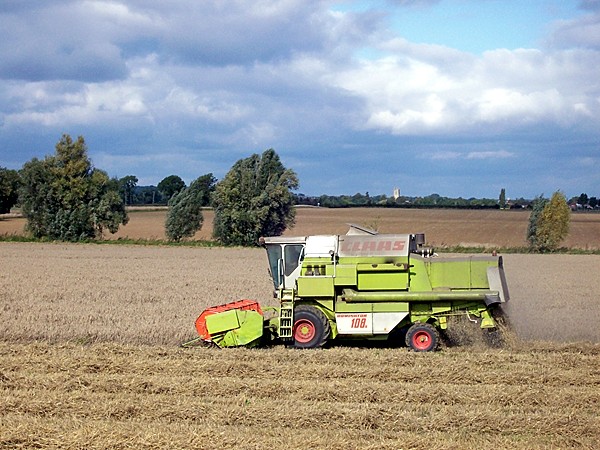 Completing the corn harvest