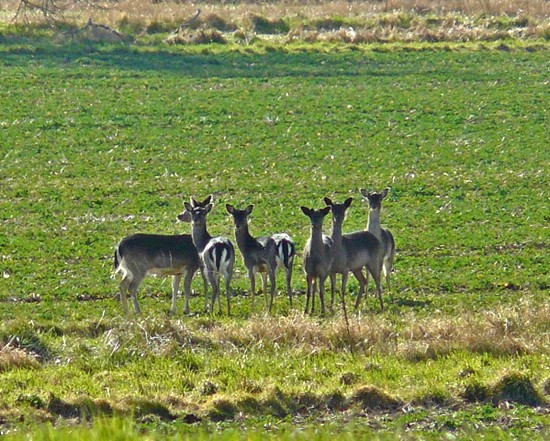 In the fields - photographed by Geoff Bell