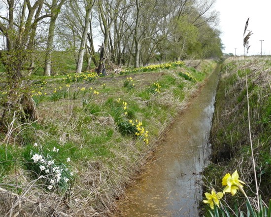 Drainage channel