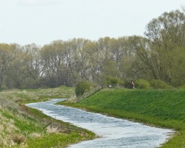 River Glen and Macmillan Way