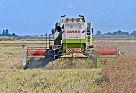 Combining oilseed in Thurlby Fen