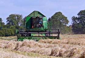 Combining oilseed in Meadow Drove