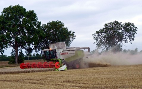 Late evening combining wheat near Dyke