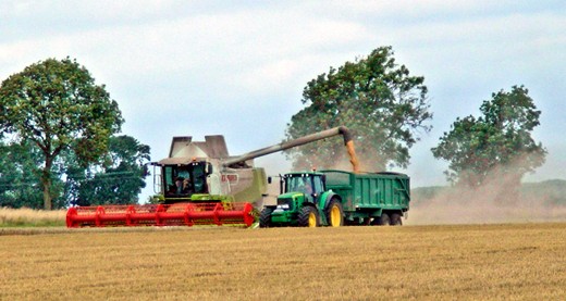 Off loading wheat from the combine