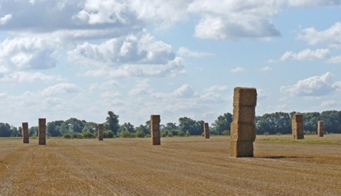 Rectangular bales