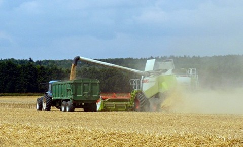 Combining wheat at Conjury Nook