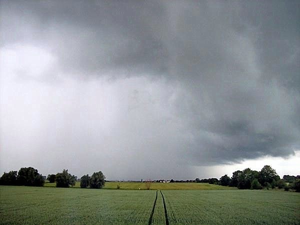 Storm clouds over the fen