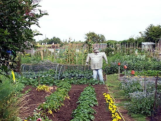 Photographed in June 2011