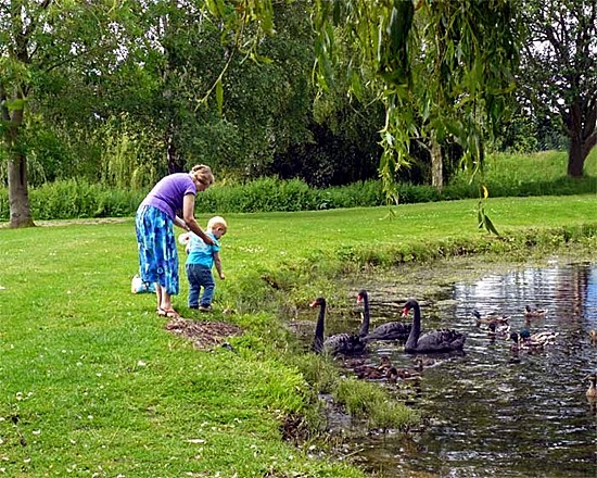 Photographed in June 2012 by Geoff Bell