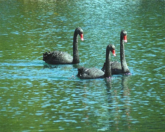 Photographed in July 2012 by Geoff Bell
