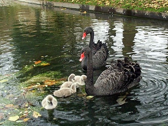 Photographed in November 2012 by Geoff Bell