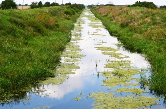 Photograph from August 2012 by Peter Sharpe