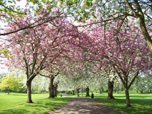 The Wellhead Gardens