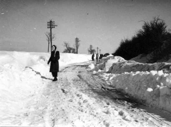 Photographed in 1947