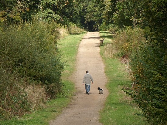 Photographed by Colin Darvill in October 2012