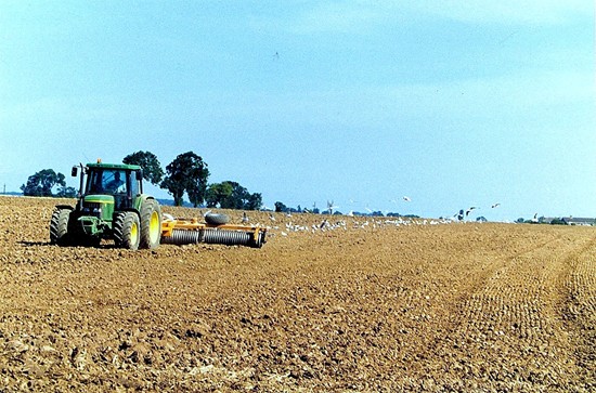 Photographed in August 1998