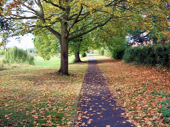 Photographed in October 2007