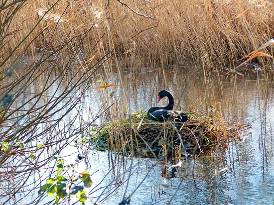 Photographed in January 2014 by Geoff Bell