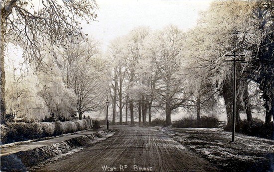 Photographed in 1905