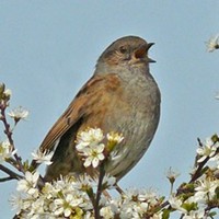 Photographed by Geoff Bell