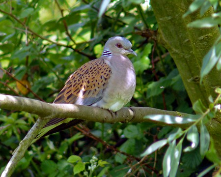 Photographed by Geoff Bell