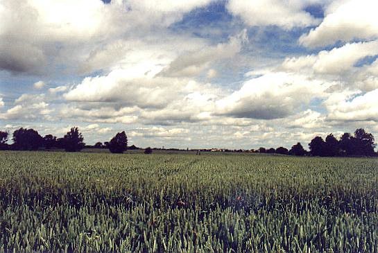 Photographed in June 2002