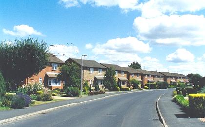 Beech Avenue