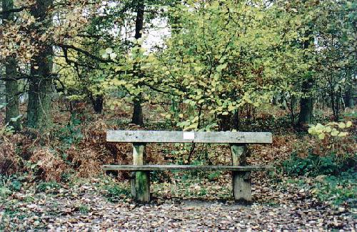 Rustic seat