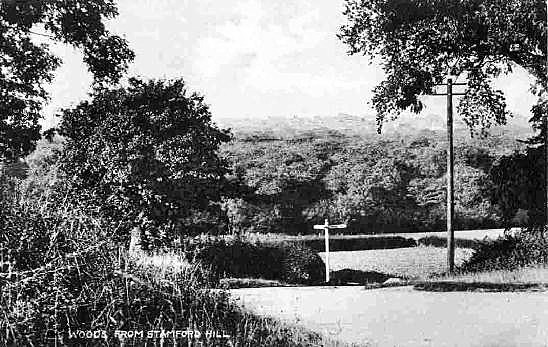 Bourne Wood circa 1930