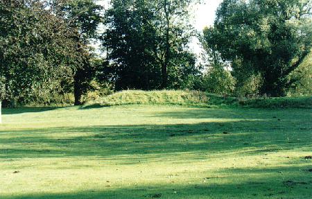Hillocks in the park