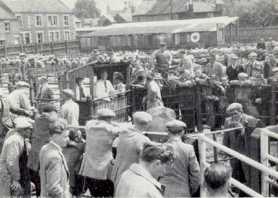 Cattle market in 1969