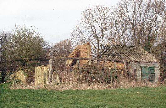 Photograph courtesy Michael McGregor