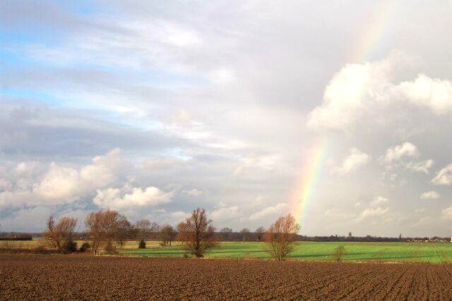 Rainbow over the fen