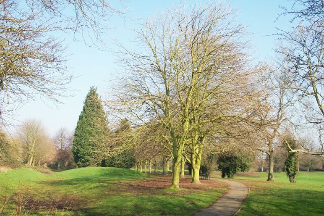 Winter in the Wellhead Gardens