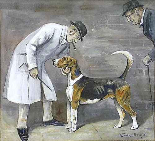 Cottesmore hound painted in 1911