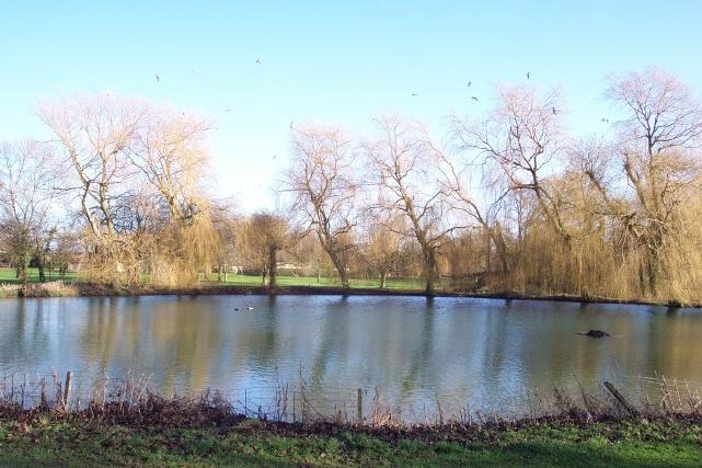 St Peter's Pool - January 2004