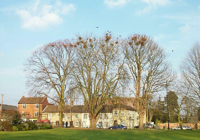 Rookery in South Street.